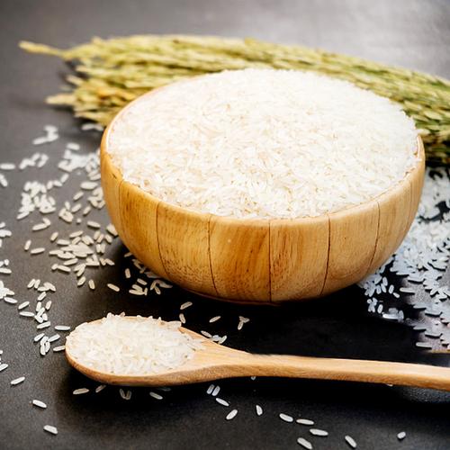 五常大米 | 一碗好饭的温度——记广东东西部扶贫协作下的粮油臻品