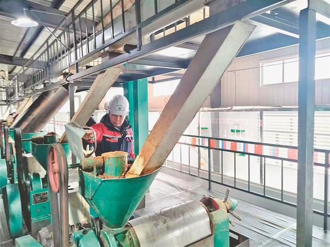 绥芬河对外贸易实现新跨越 粮油产业强劲驱动，开放格局再升级
